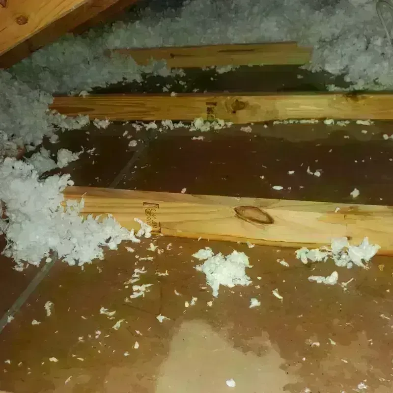 Attic Water Damage in Dalhart, TX